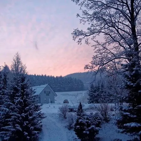 ヴィラ Gorski Promyk Stronie Śląskie