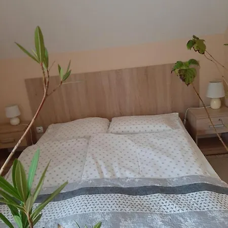 Górski Promyk * Stronie Śląskie