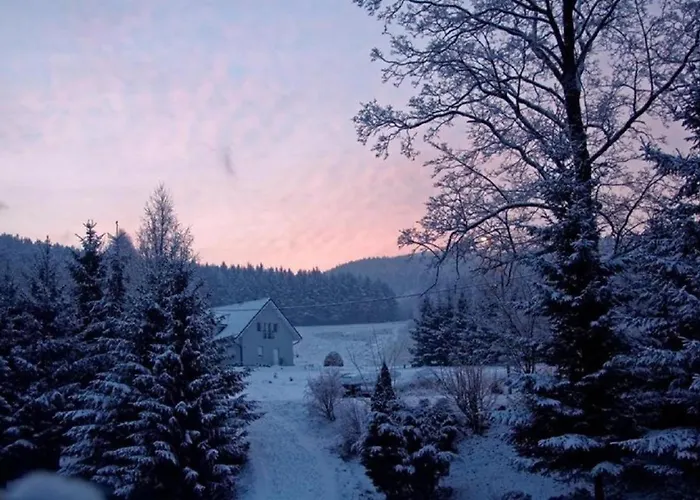 Villa Gorski Promyk Stronie Slaskie